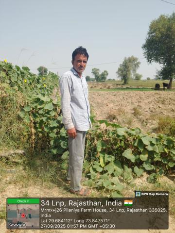 pre install photo savitri devi - brijil