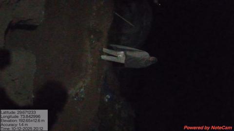 pre install Krishan - Devaram