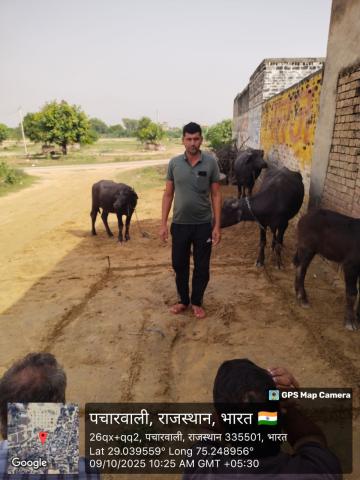 pre install photo ramesh ramkumar